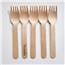 wdc-bifk160-cs-foodstiks-compostable-wood-fork_2
