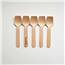 wdc-bitsp95-ctn-compostable-wood-taster-spoon_2