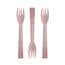 wdc-pbifk165-ctn-foodstiks-compostable-wood-fork_2